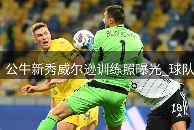 公牛新秀威尔逊训练照曝光 球队寄予厚望